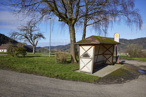Bus bend, bus stop with bus shelter and wintry trees in Waldkirch, Emmendingen district,