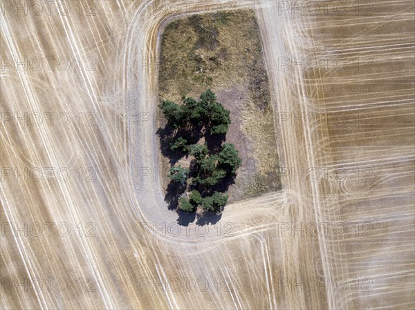 Tractor tracks in a field. Heat and drought have led to poor harvests, Thale, 28.07.2018