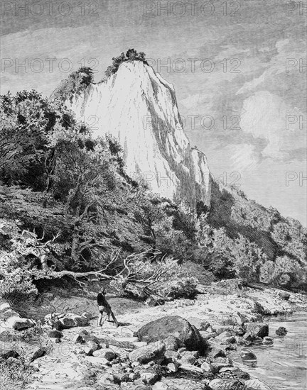 Koenigsstuhl on Ruegen, Baltic Sea island, chalk cliffs, wild landscape, steep coast,