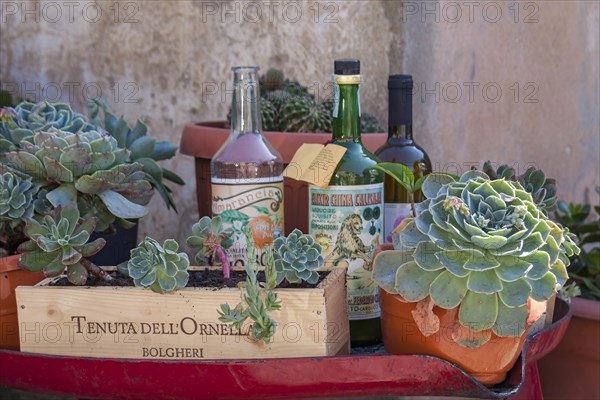 Decoration in front of a wine shop, Bolgheri, Castagneto Carducci, Province of Livorno, Tuscany