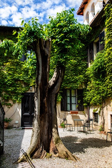 Castle garden, Duino Castle, with spectacular sea view, private residence of the Princes of Thurn