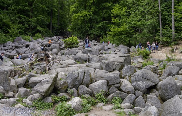 Sea of rocks on the Felsberg above Lautertal-Reichenbach in the Vorderer Odenwald, Hesse, Germany,