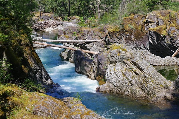 Crystal clear torrent between rocks, Pacific Rim National Park, Vancouver Island, British Columbia,