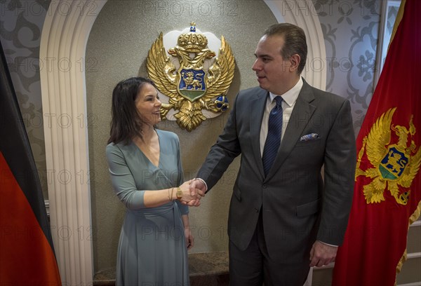 Annalena Baerbock (Alliance 90/The Greens), Federal Foreign Minister, photographed during her visit