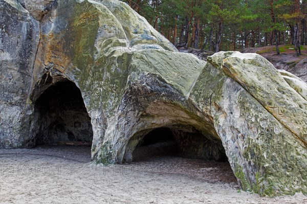 The Sandhoehlen, sandstone caves in forest called Im Heers below the crags of Regenstein near
