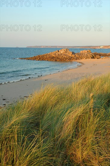 A tranquil beach scene with grassy dunes in the foreground leading to a rocky outcrop by the sea,