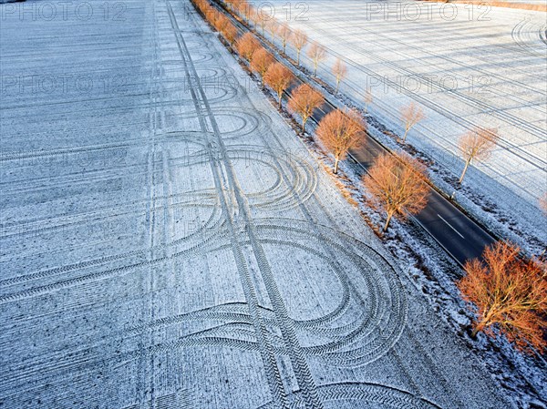 An aerial photo shows an avenue with trees leading through snow-covered fields on which tyre tracks