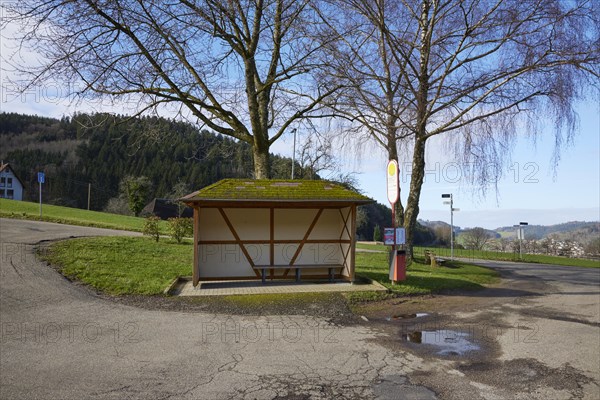 Bus bend, bus stop with bus shelter and wintry trees in Waldkirch, Emmendingen district,