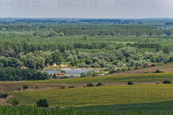Landscape on the Saint George Branch, the southern arm of the Danube in the Danube Delta. Tulcea,