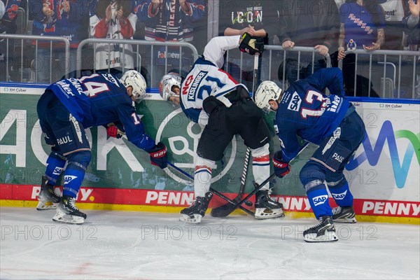 Battle for the puck at the boards. In the picture Stefan Loibl (13, Adler Mannheim), Jordan Szwarz