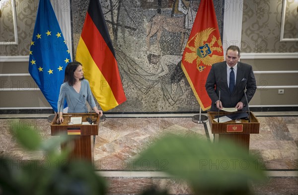 Annalena Baerbock (Alliance 90/The Greens), Federal Foreign Minister, photographed during her visit