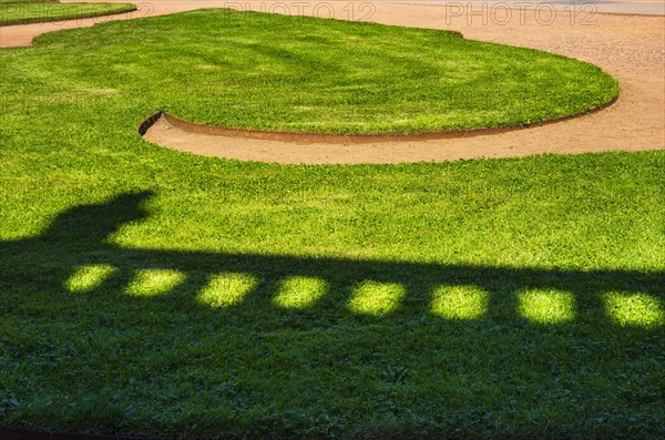 Ornate detail of greenery with shadows cast by a balustrade in the inner courtyard of the Dresden