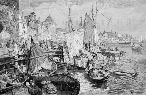 Market at the river Mottlau in Gdansk, Baltic Sea, harbour scene, many sailing ships, people,