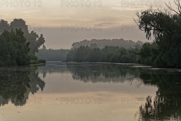 Morning mist over the water in the UNESCO Danube Delta Biosphere Reserve. Munghiol, Tulcea,