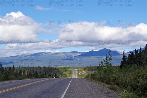 Road without traffic leads through endless forest valleys, late summer, Alaska Highway, Whitehorse,