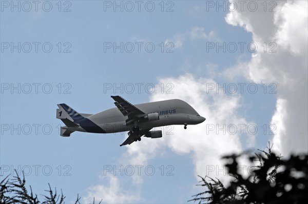 Beluga, Airbus, A300-600, Aircraft, Transport aircraft, Loading, Finkenwerder, An Airbus aircraft