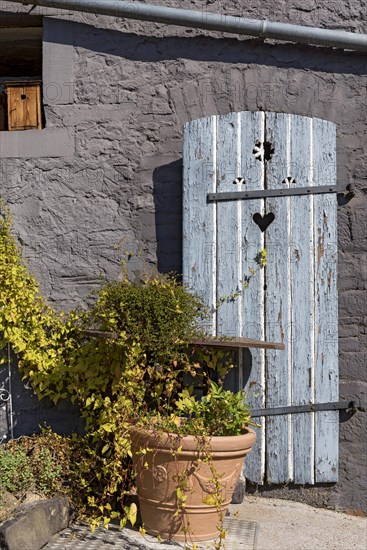 Old farmhouse, facade, decorated, flower pots, knotweed (Fallopia baldschuanica), weathered wooden