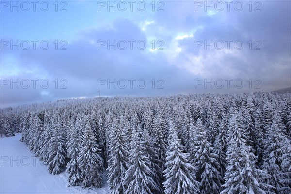 Aerial view of the wintery snow-covered forest with conifers in the Harz Mountains, Torfhaus,
