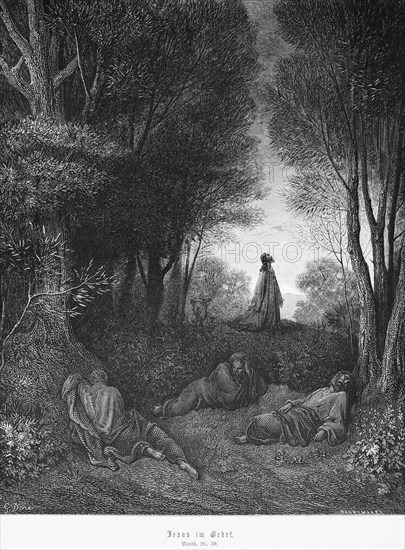 Jesus in prayer, Matthew Evengelium, chapter 26, forest, Peter, two sons, Zebedee, men, light, New