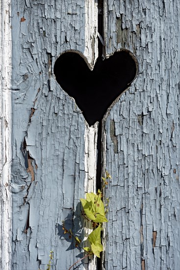 Wooden door with heart, stable door, light-coloured varnish, weathered, leaves of knotweed