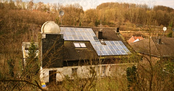 Iserlohn. Thanks to the climate change, early spring has come earlier than usual. The flowering