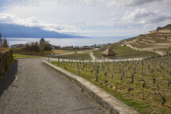 UNESCO World Heritage vineyard terraces of Lavaux and paths through the vineyard with a view of