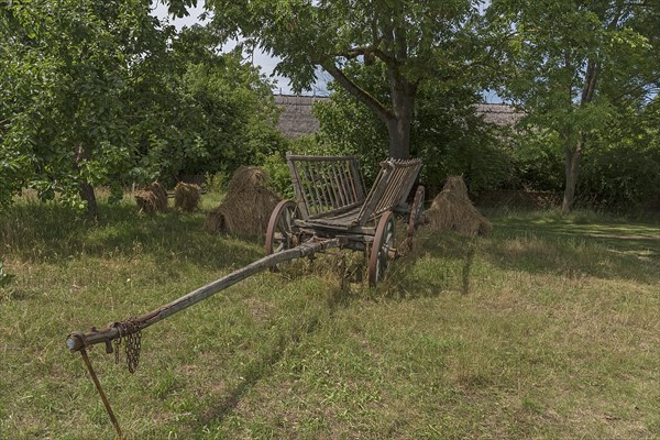 Ladder wagon around 1900 on the farm, Open-Air Museum of Folklore Schwerin-Muess,