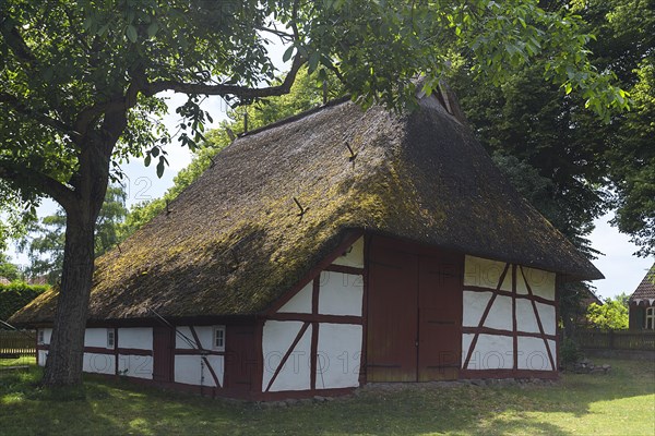 Historic thatched barn from the 18th century, open-air museum for folklore Schwerin-Muess,