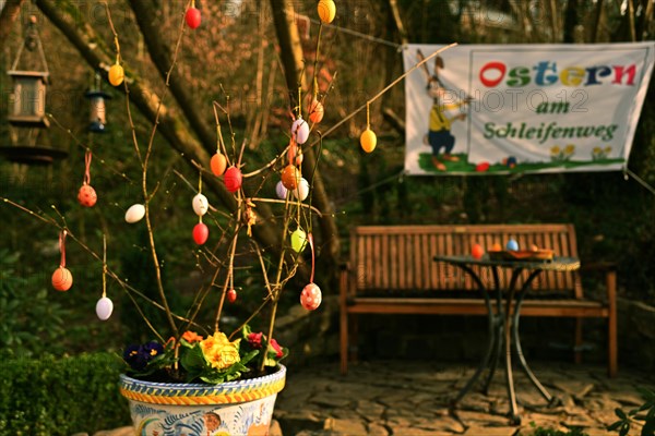 Iserlohn. Thanks to the climate change, early spring has come earlier than usual. The flowering