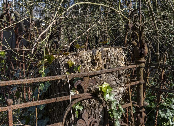 Rusty grave fences, Kirchof 1 of the Evangelische Georgen-Parochialgemeinde, Greisfswalder Strasse,