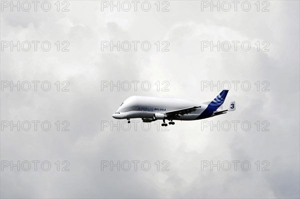 Beluga, Airbus, A300-600, aeroplane, transport aircraft, Airbus Beluga transport aircraft flying