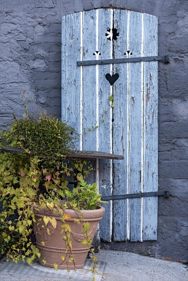 Old farmhouse, facade, decorated, flower pots, knotweed (Fallopia baldschuanica), weathered wooden