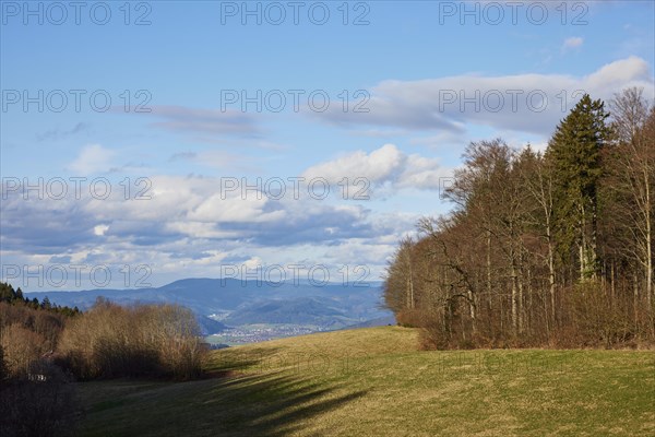 Winter landscape in the Black Forest with trees, milky blue sky and hazy distant view near