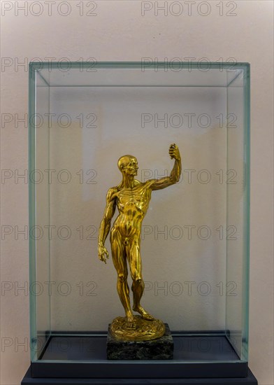 Jean-Antoine Houdon, Muscle Man, gilt bronze, Skulpturensammlug im Bode Museum, Berlin, Germany