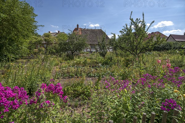 Farmer's garden with thatched farmhouse from the 19th century, in the open-air museum for folklore