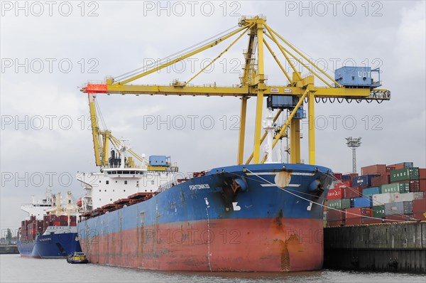 Older freighter loaded with containers next to a yellow harbour crane, Hamburg, Hanseatic City of
