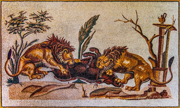 Lions attacking a wild boar, mosaic copy, Casa della Processione, El Jem, 2nd century, mosaic