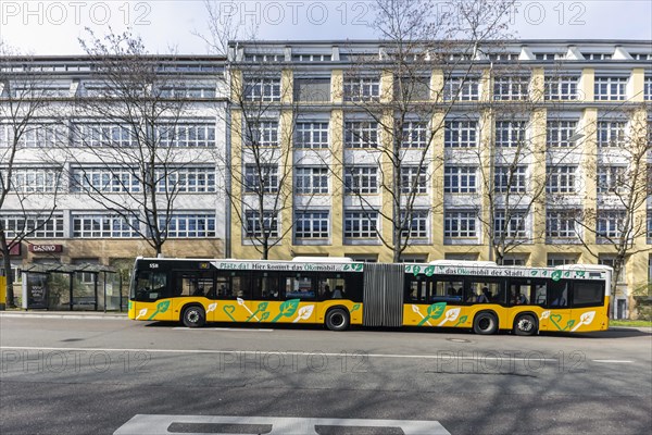 Bus stop for SSB AG buses, with advertisement Oekomobil, the buses run on synthetic fuel,