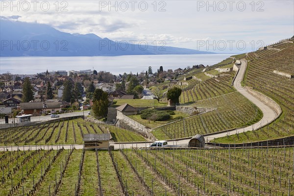 Roads and terraces for winegrowing in the UNESCO World Heritage vineyard terraces of Lavaux with a