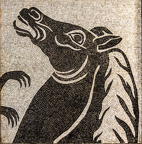 Example from the mosaic cycle of the Forum Italico in Rome, mosaic school that produces mosaic
