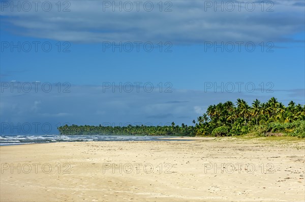 Paradisiacal beach surrounded by coconut trees in Serra Grande on the south coast of Bahia, Bahia,