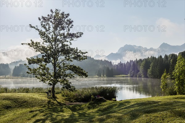 Sunrise and morning fog, Geroldsee or Wagenbruechsee, Kruen near Mittenwald, Werdenfelser Land,