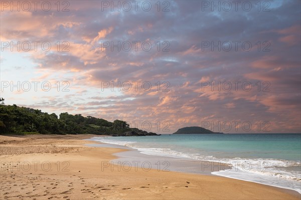 Lonely, wide sandy beach with turquoise-coloured sea. Tropical plants in a bay at sunset in the
