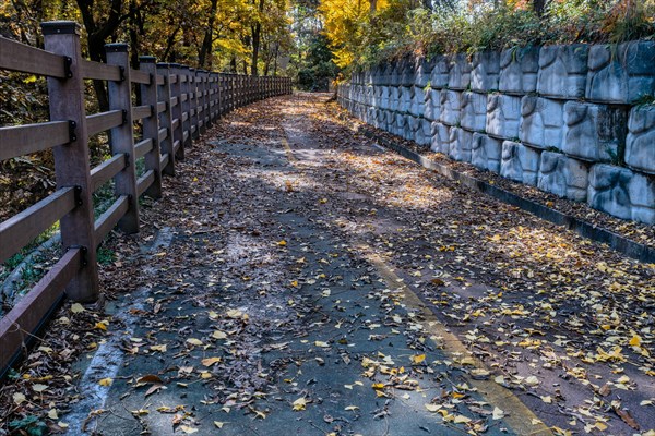 A deserted trail with scattered autumn leaves, accompanied by a fence and stone wall, in South
