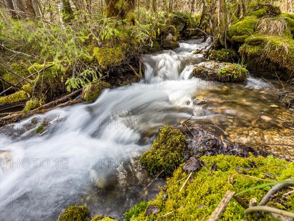 Lamingbach, Laming, long exposure, near Tragoess, Styria, Austria, Europe
