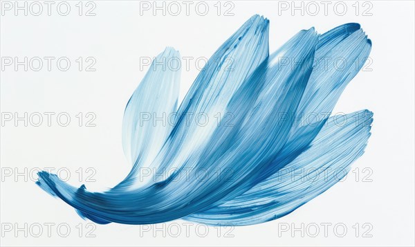 A light blue brush stroke forming a chamomile petal. Chamomile flower painted on white background