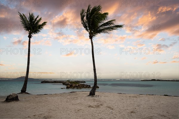 Caribbean dream beach with palm trees, white sandy beach and turquoise-coloured, crystal-clear