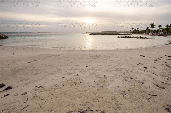 Caribbean dream beach with palm trees, white sandy beach and turquoise-coloured, crystal-clear