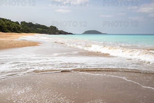Lonely, wide sandy beach with turquoise-coloured sea. Tropical plants in a bay in the Caribbean