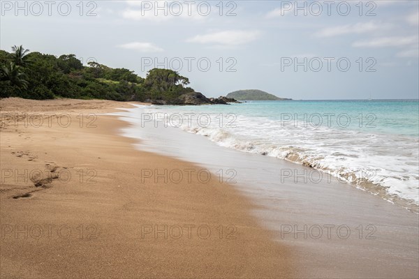 Lonely, wide sandy beach with turquoise-coloured sea. Tropical plants in a bay in the Caribbean